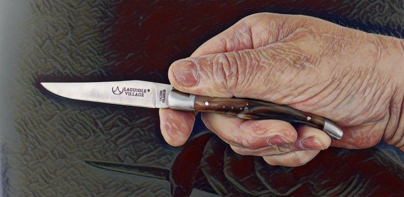 Laguiole Village 10 cm Forged Bee & Spring Flamed Horn Tip Handle #18